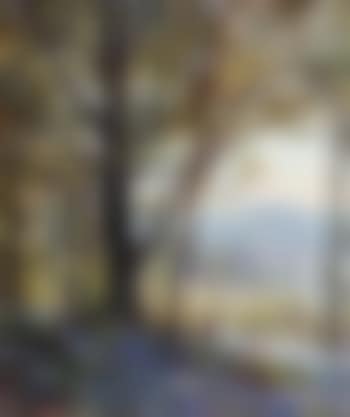 Bluebell woods near Bolton Abbey (preview)