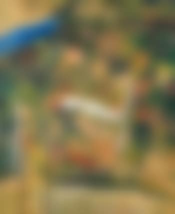 Untitled (preview)