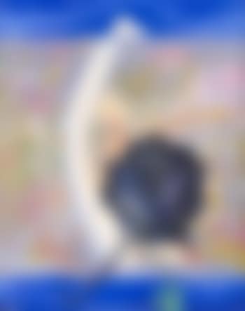 Orpheus with black umbrella - Shoalhaven (preview)