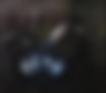Metamorphosis (preview)