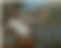 Jagdhund und Wildenten (preview)