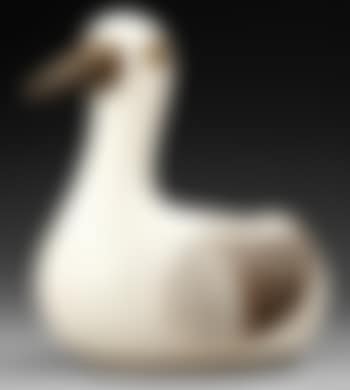 Canard (preview)