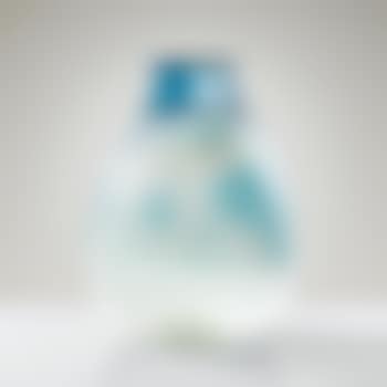 Vase ours polaires (preview)