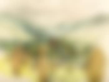 Mountain Landscape (preview)