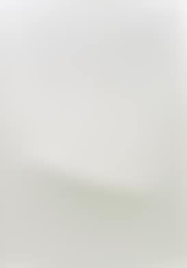 Segno grigio (preview)