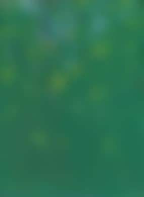 Summer Trees (preview)