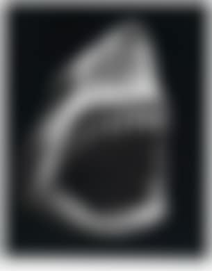 Shark (preview)