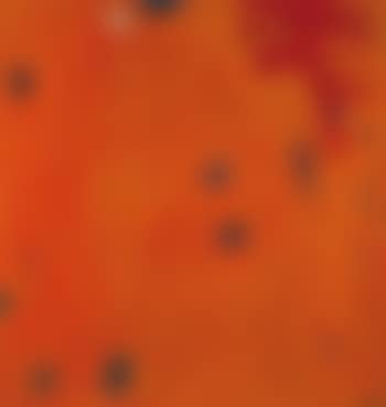 Oranges Punktefeld [Orange Field of Dots] (preview)