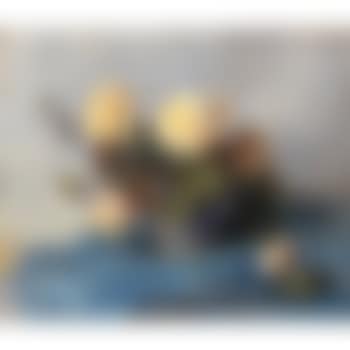 Bouquet de Roses (preview)