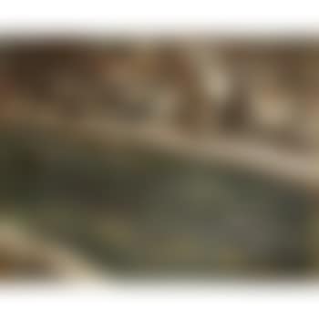 Beiersch Woud (preview)