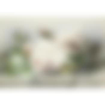 Bloemstilleven (preview)