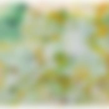 Dragonflies and Frogs (preview)