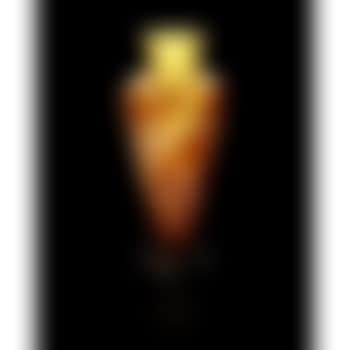 Vase with Iris Flowers (preview)