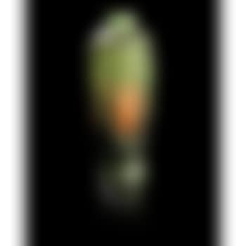 A Soufflé Landscape Vase (preview)