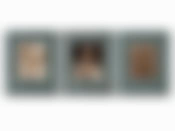 3 Macro Photographs (preview)