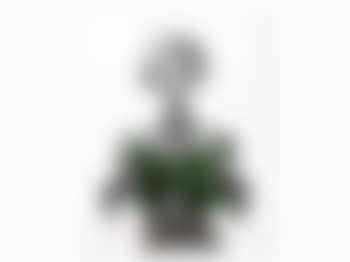 Marilyn With Green Roses (preview)