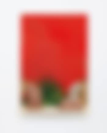 Shelf paintings (Pottery in October #8), 2009 by Dan Rees (preview)