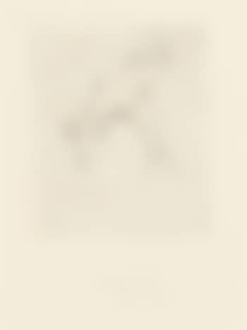 Suite Oath Hand (Suite Schwurhand): Woman running away with brain; Calf with Children; Tent and Ray; Wandering Chest 5 (preview)