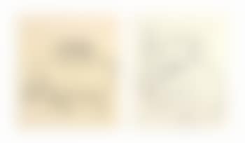 Untitled (Cow); Untitled (Elephant) (preview)