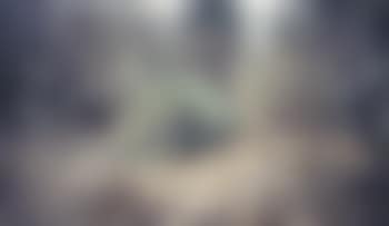 Cemetery (preview)