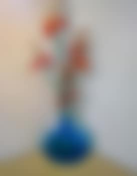 Monbretias, Spring (preview)