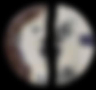 Two faced (preview)