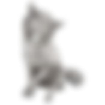 Figure of a Fox (preview)