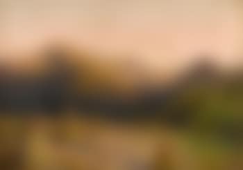 Wheat harvest (preview)