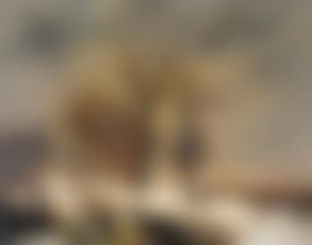 Figures in a wooded snow scene (preview)
