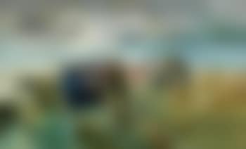 By the stormy coast (preview)
