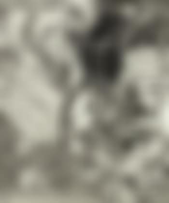 Engraving IX (from Swan engraving) (preview)