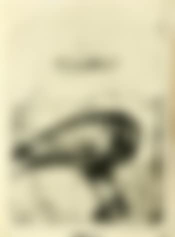 The crow (preview)