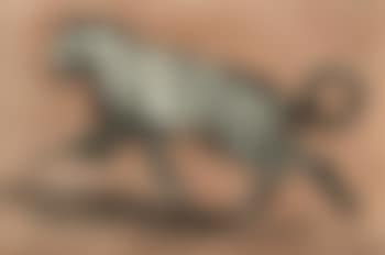 Little leopard (preview)