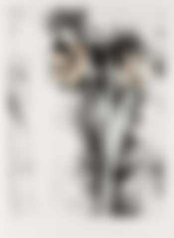 Amaryllis; Yellow Calla Lilies (preview)