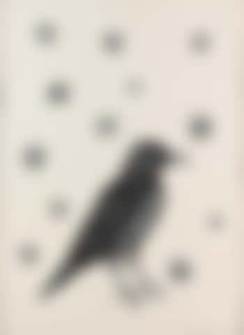 Bird with Stars (preview)