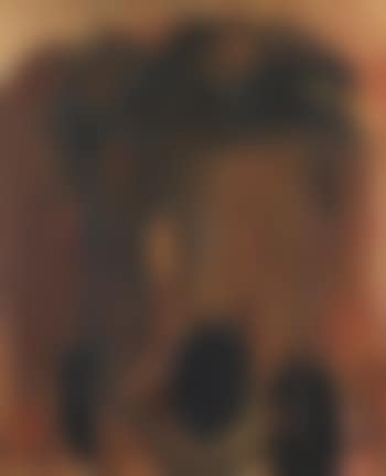 Brandstifter braun (preview)