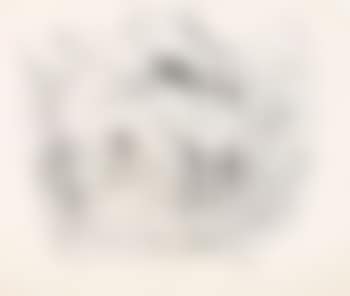 Crow (preview)