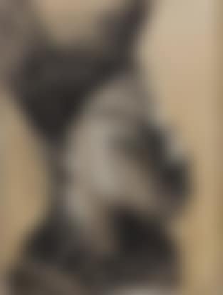 Figure in profile (preview)