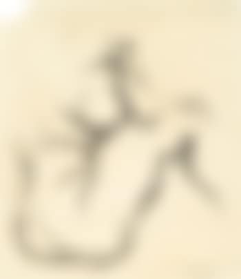 Nude (preview)
