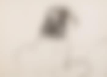Nude (preview)
