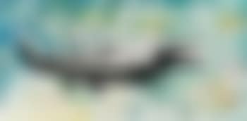 Laughing crocodile (preview)