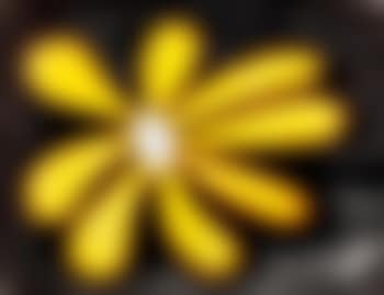 Yellow flower (preview)