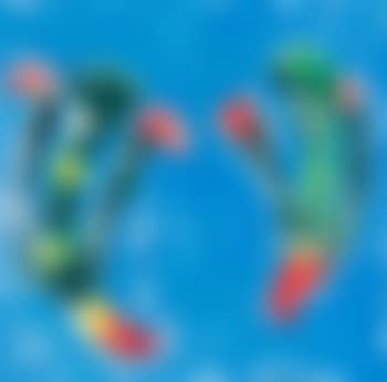 Falling parakeets (sic) (preview)