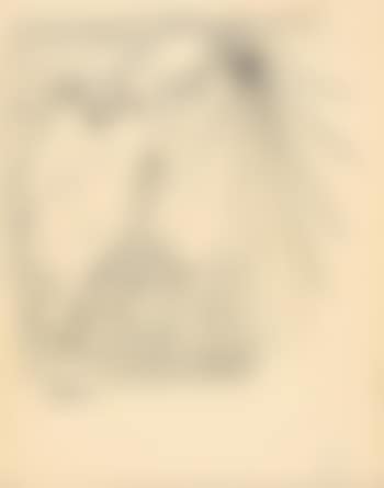 Angel (preview)