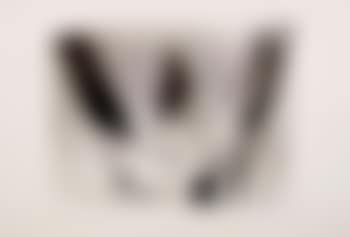 Cat in awe (preview)