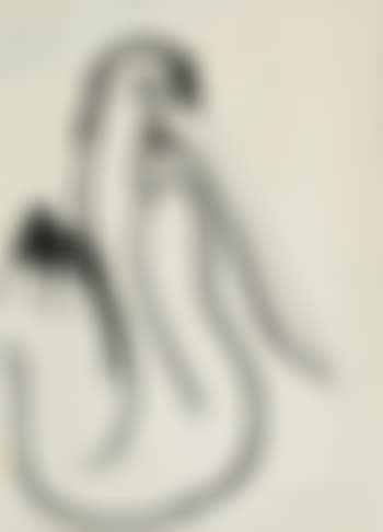 Pelican (preview)