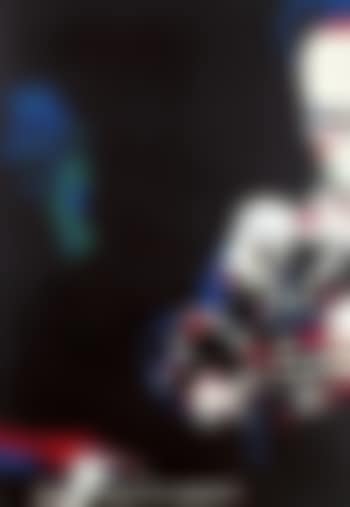 Chez Mc Gregor (preview)