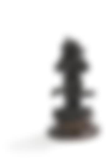 Singe capucin violoniste (preview)