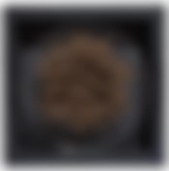Champ magnétique (preview)