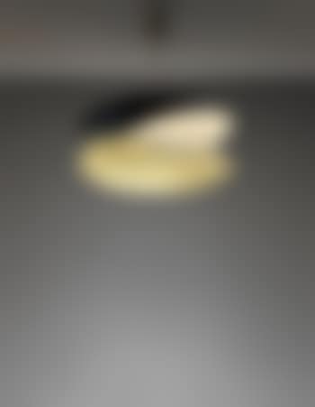 Ceiling light (preview)